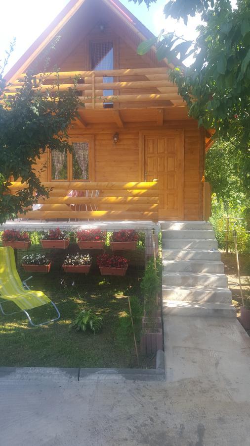 Vacation Home Sajra Kulen Vakuf Eksteriør billede